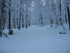 Der Jgerstein im Januar 2010 (Foto MF)  Wandern fr alle, die den Winter im Elm lieben.