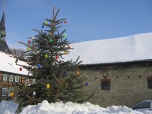 Februar 2010, Weihnachtsbaum statt Dorflinde -
